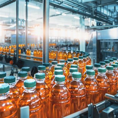 Băng tải công nghiệp